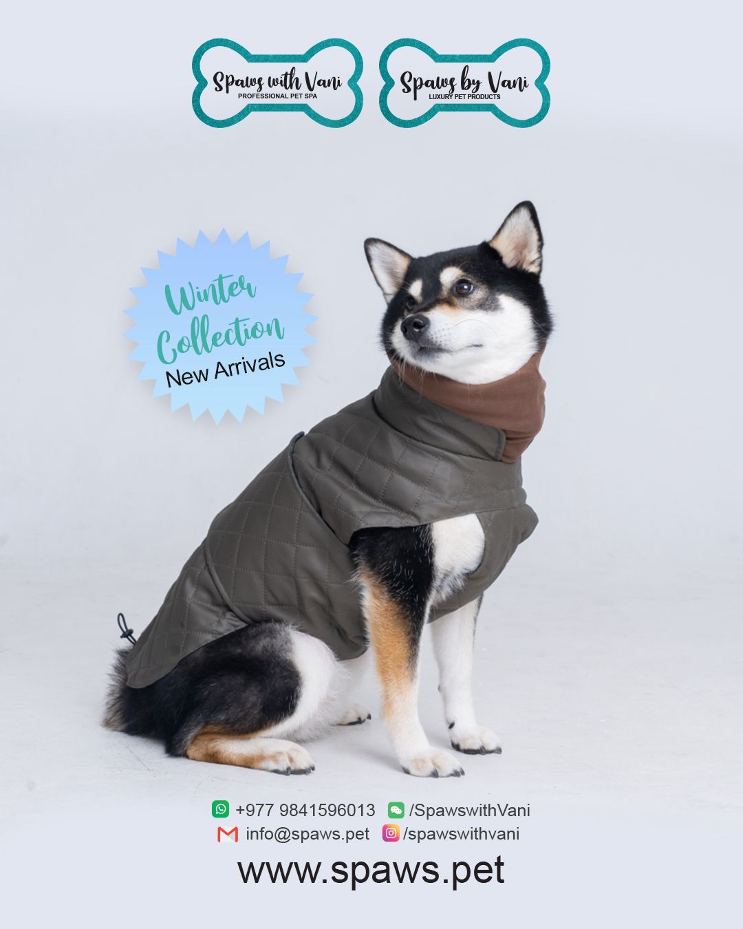 Spaws by Vani — Quality pet fashion