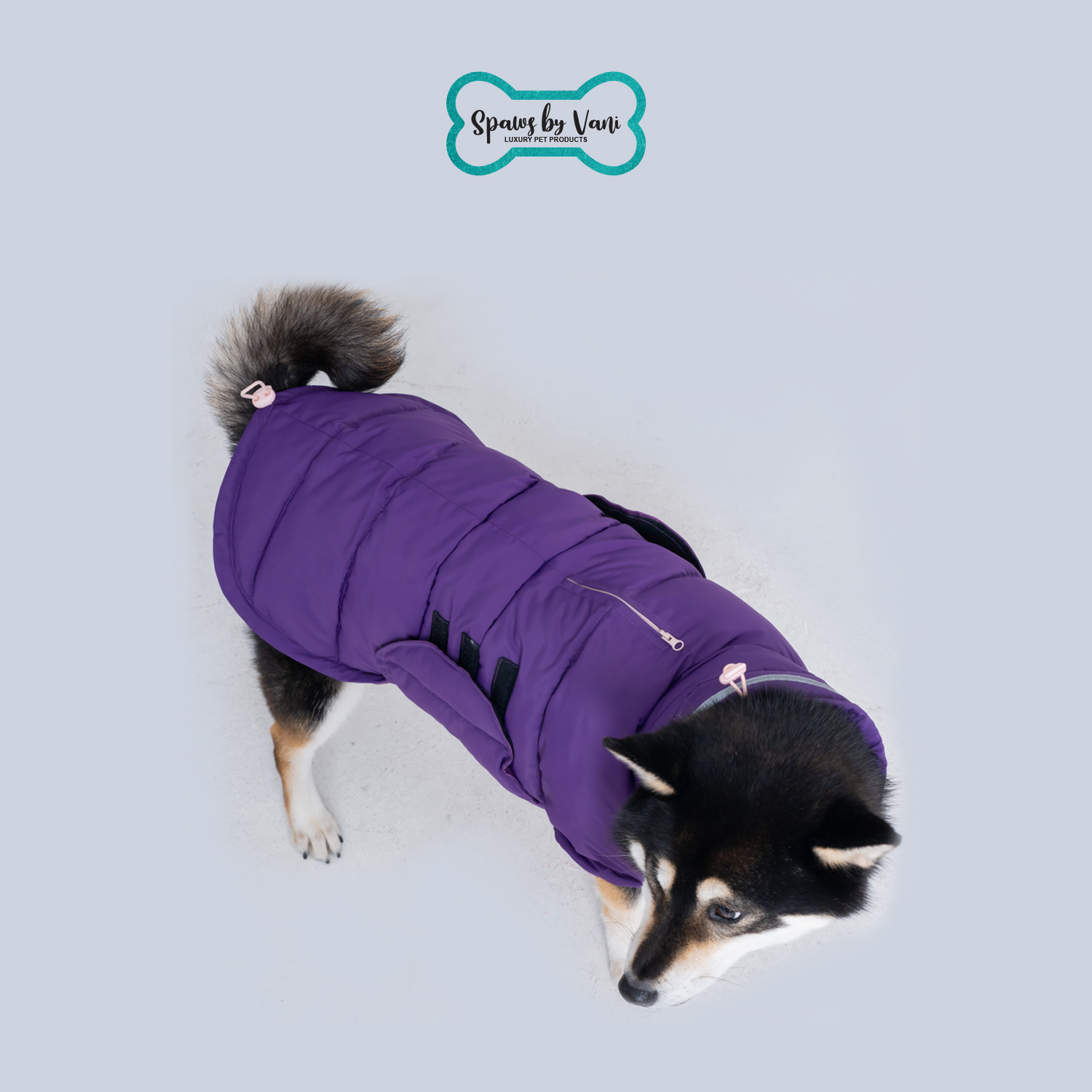 Purple Jacket XL