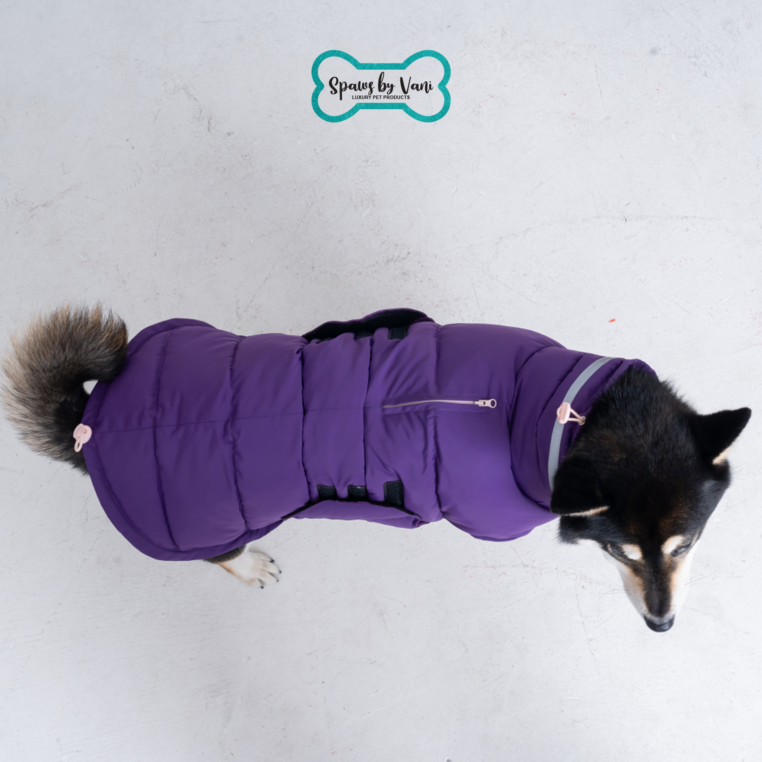 Purple Jacket XL - Image 4