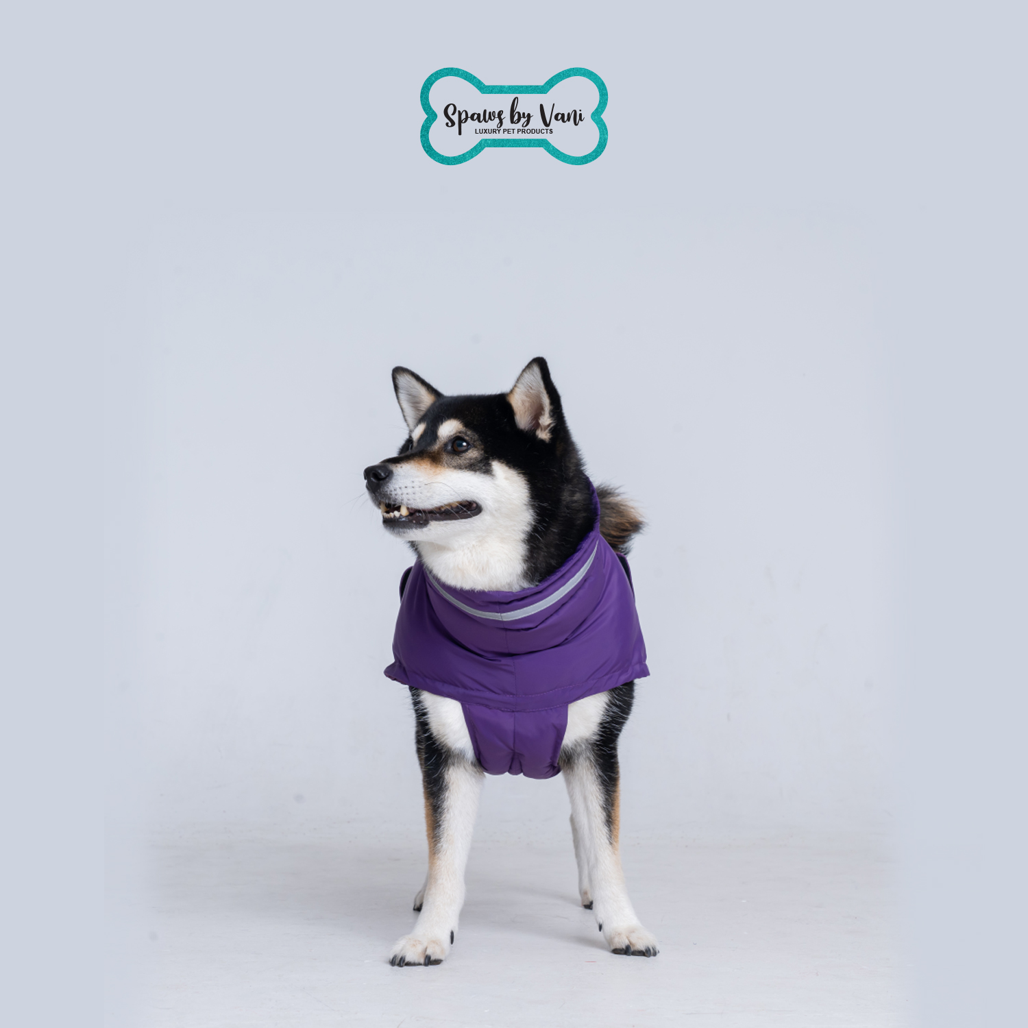 Purple Jacket XL - Image 8
