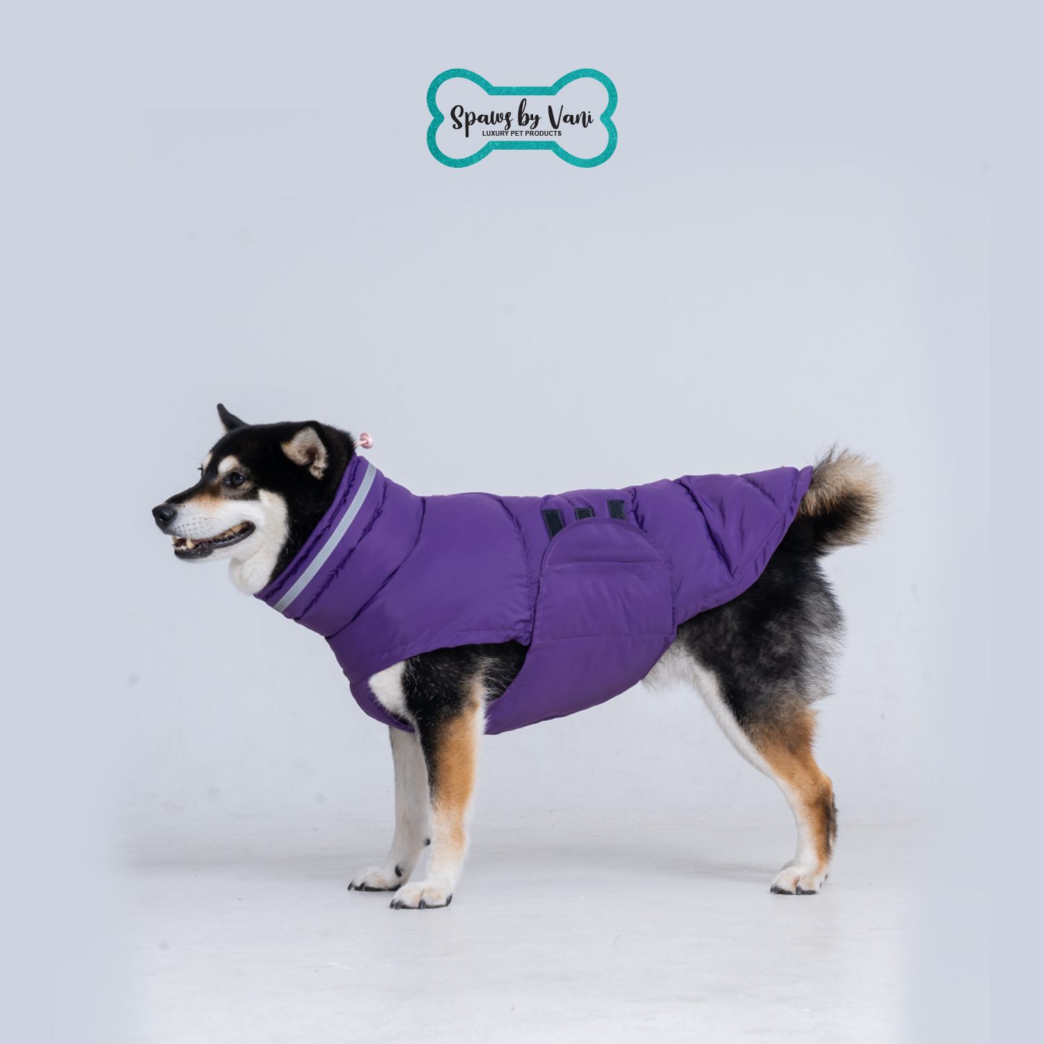 Purple Jacket XL - Image 11
