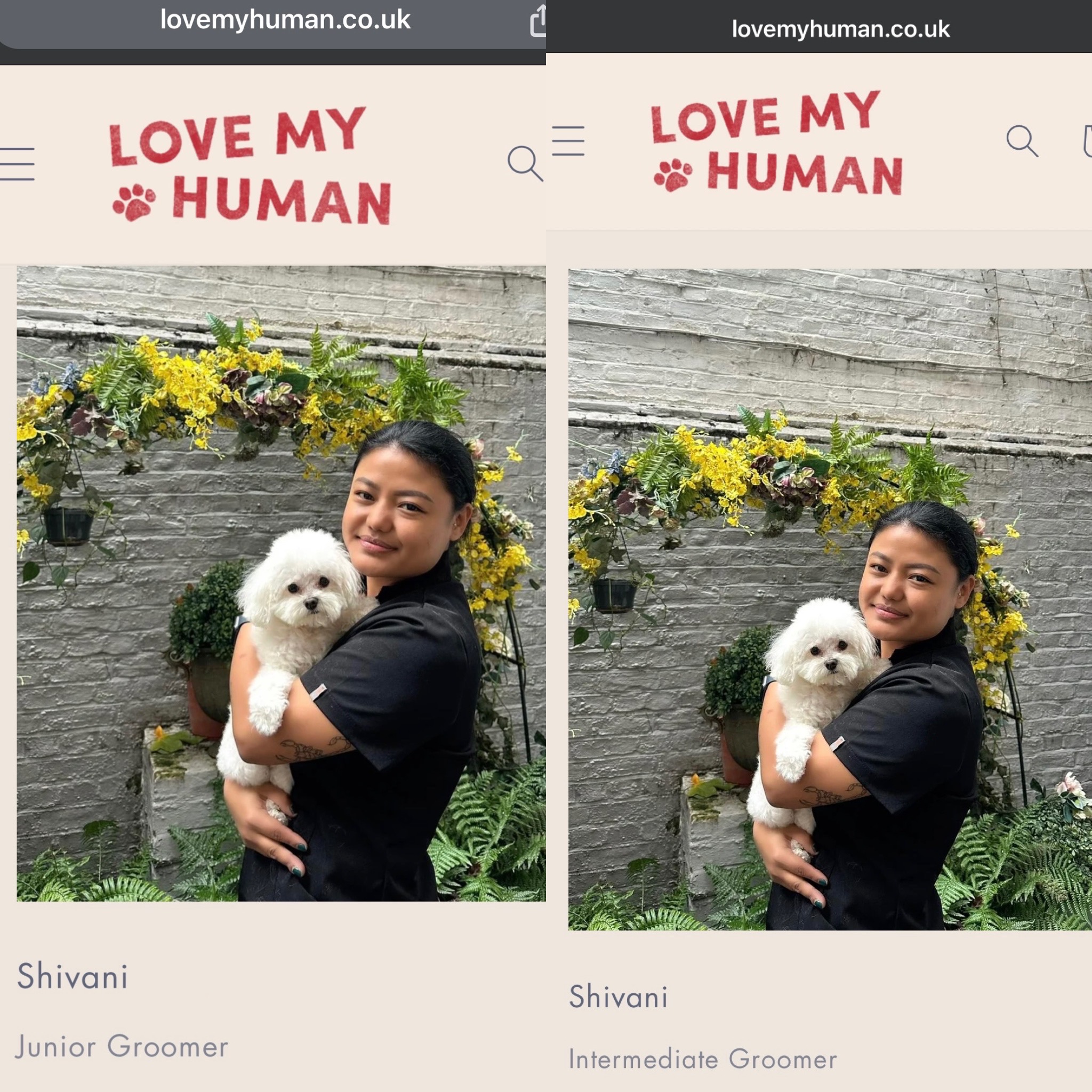 Refining expertise with diverse breeds